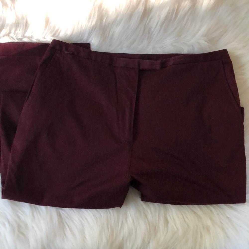 🎉Ann Taylor Burgundy Pants